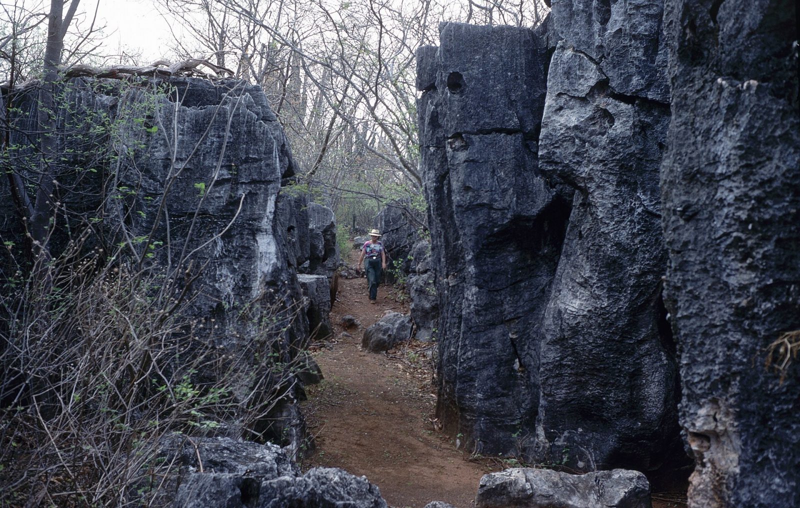 Sendero entre las rocas calizas del cerro
