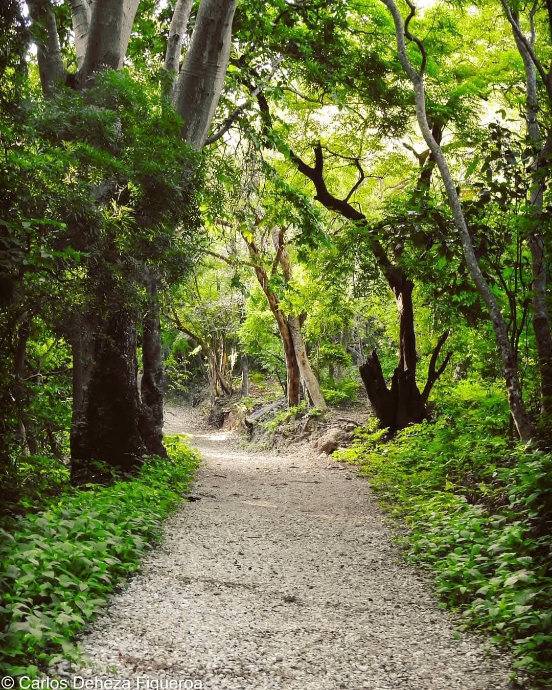 Sendero hacia las pozas