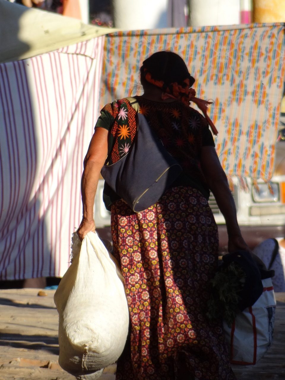 Vendedora con su mercancía en Tehuantepec (2011)